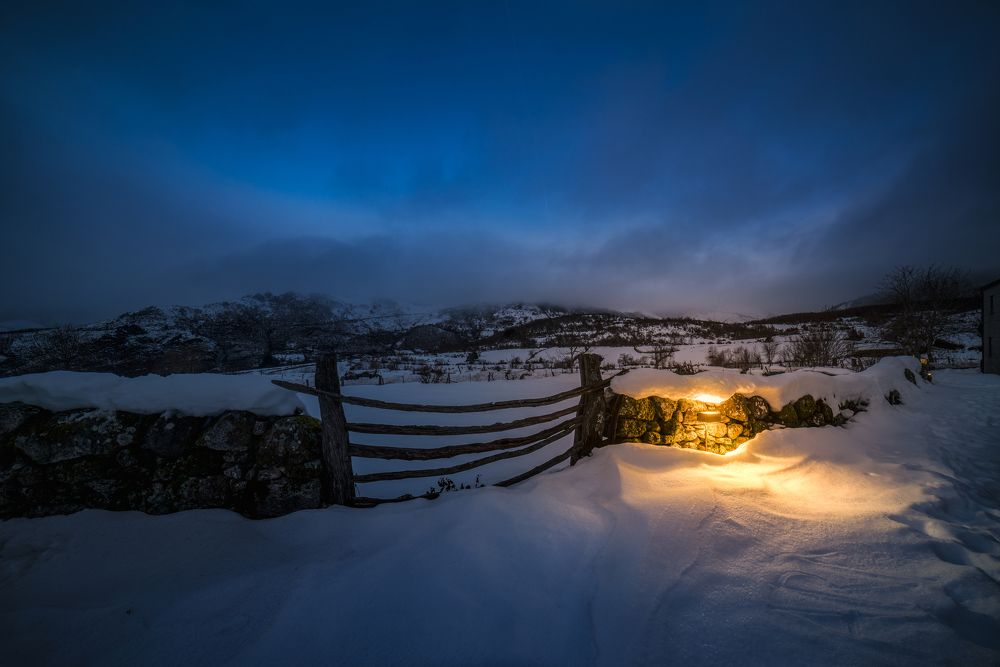 Photograph by Damian Varela