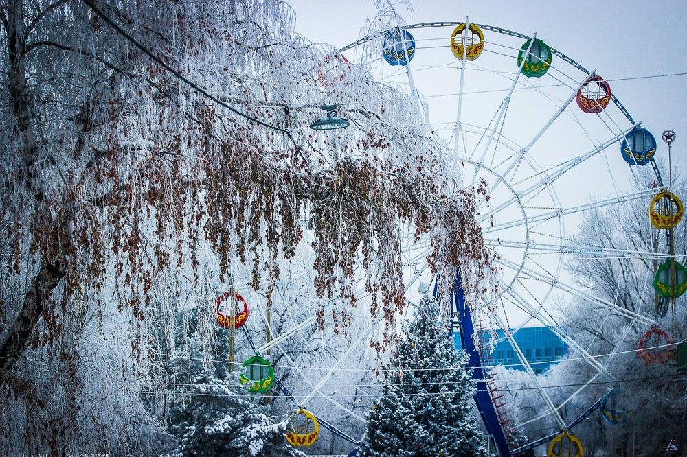 Photograph by Олег Чеботарев