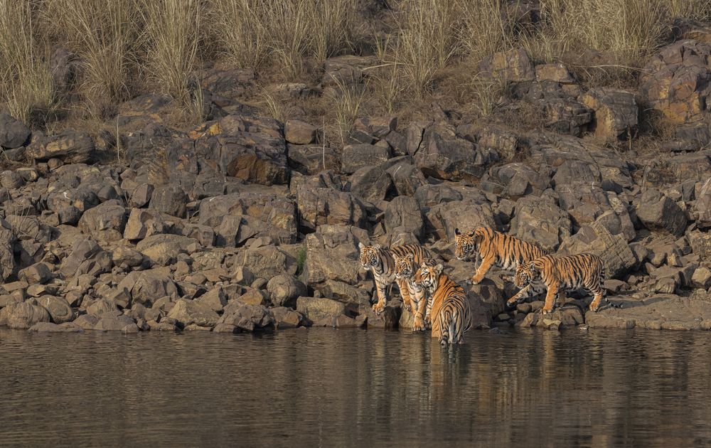 Фотография автора Ashok Behera