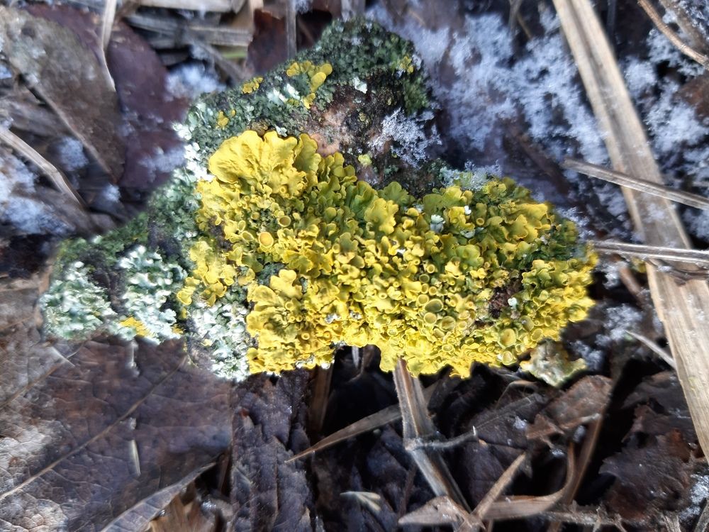 Photograph by Виктория Стецко