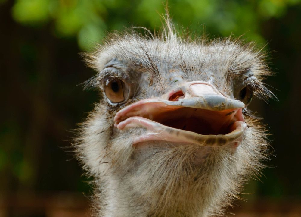 Photograph by Олег Волков