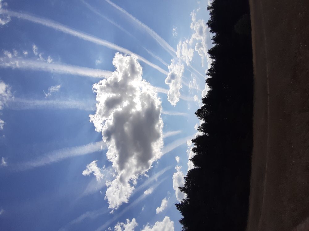 Photograph by Виктория Стецко