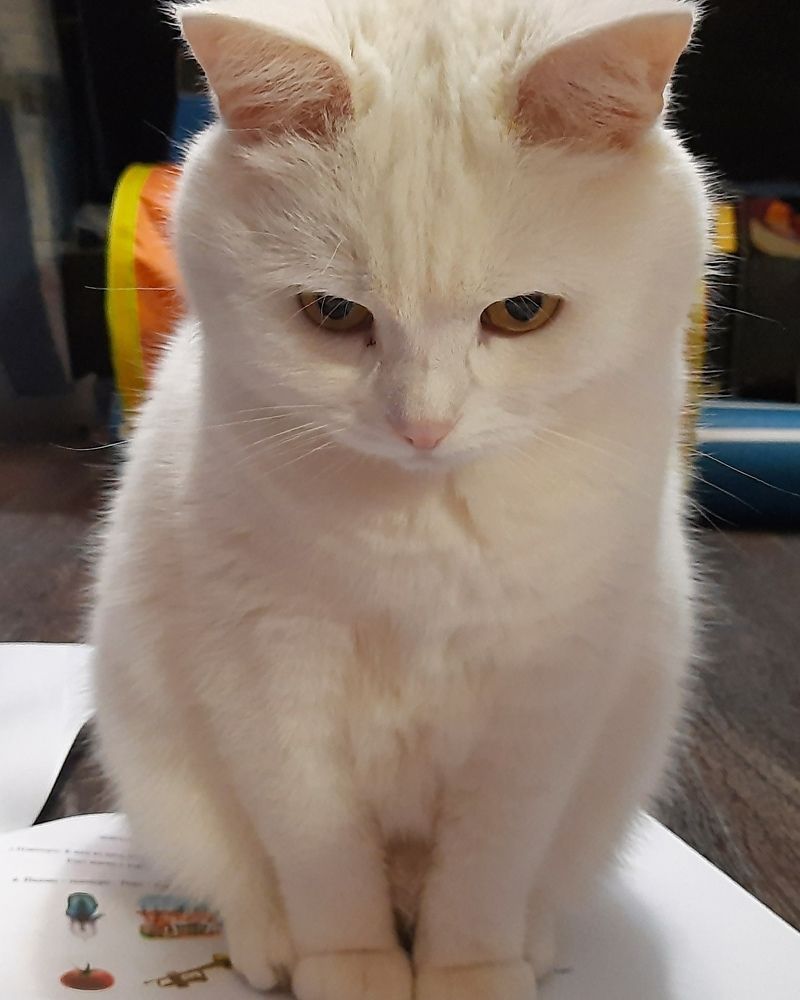 Photograph by Ирина Поваляева