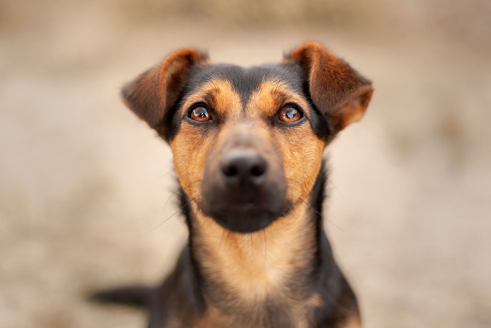 Photograph by Yong Lei van Barlingen