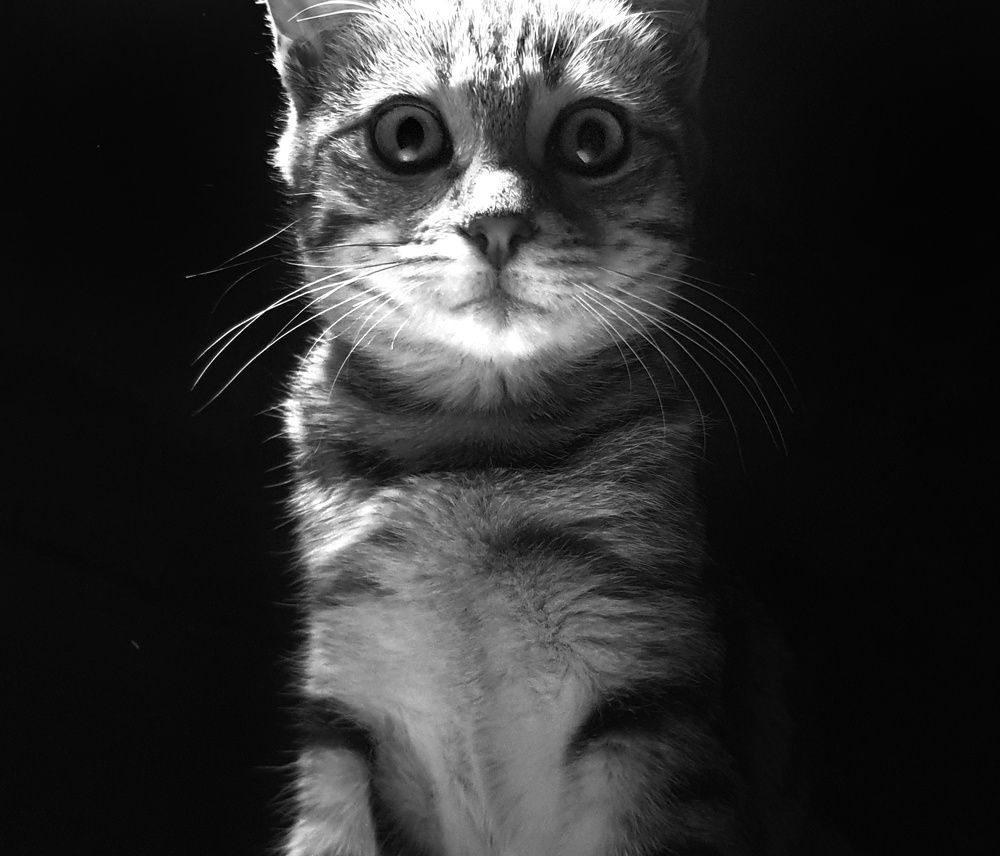 Photograph by Mohamadreza Jalilzadeh