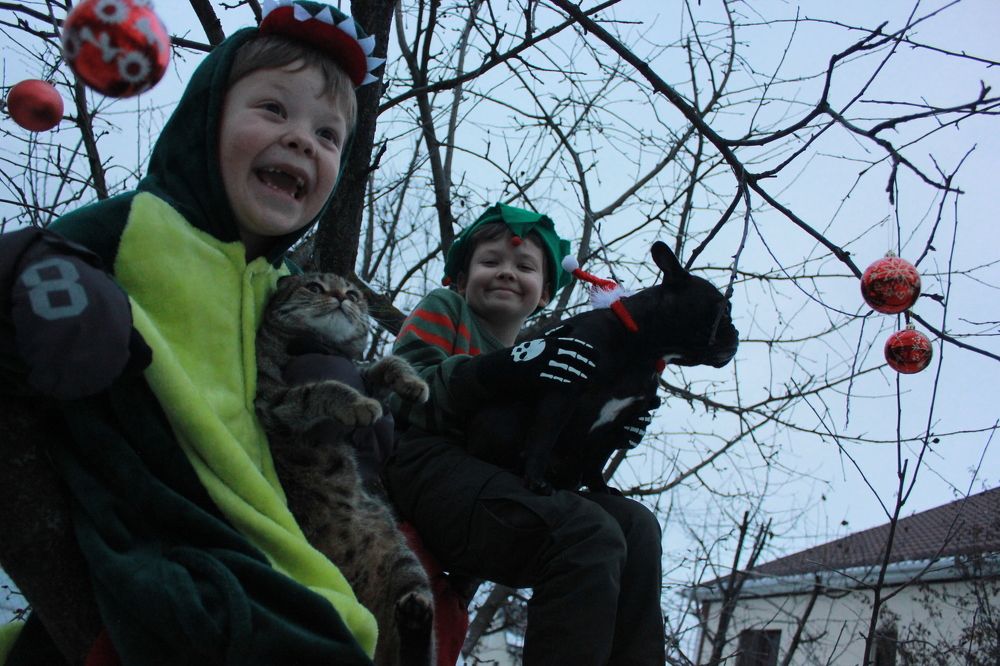 Photograph by Евгения Юдина