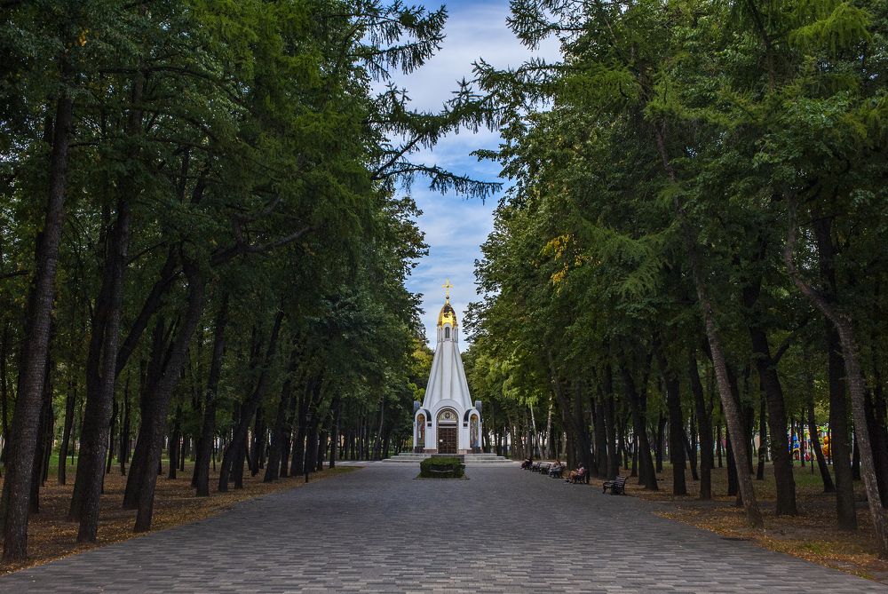 Фотография автора Михаил Пшеннов