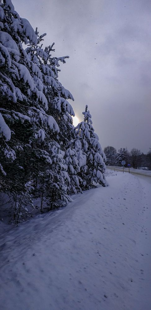 Сказочная зимняя природа.