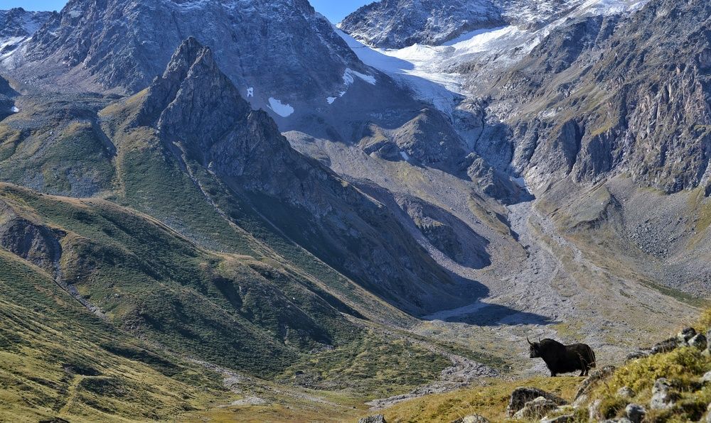 Photograph by Родион