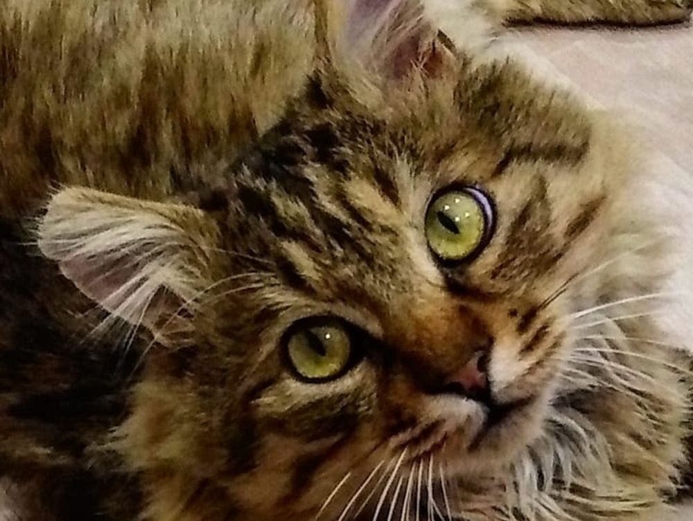 Photograph by Жанна Усатова