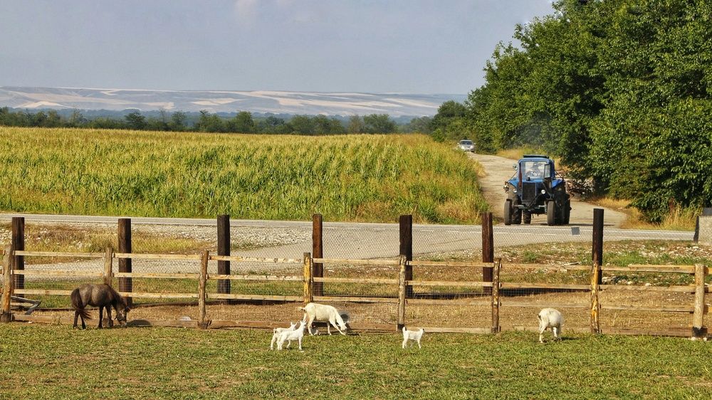 Photograph by Родион