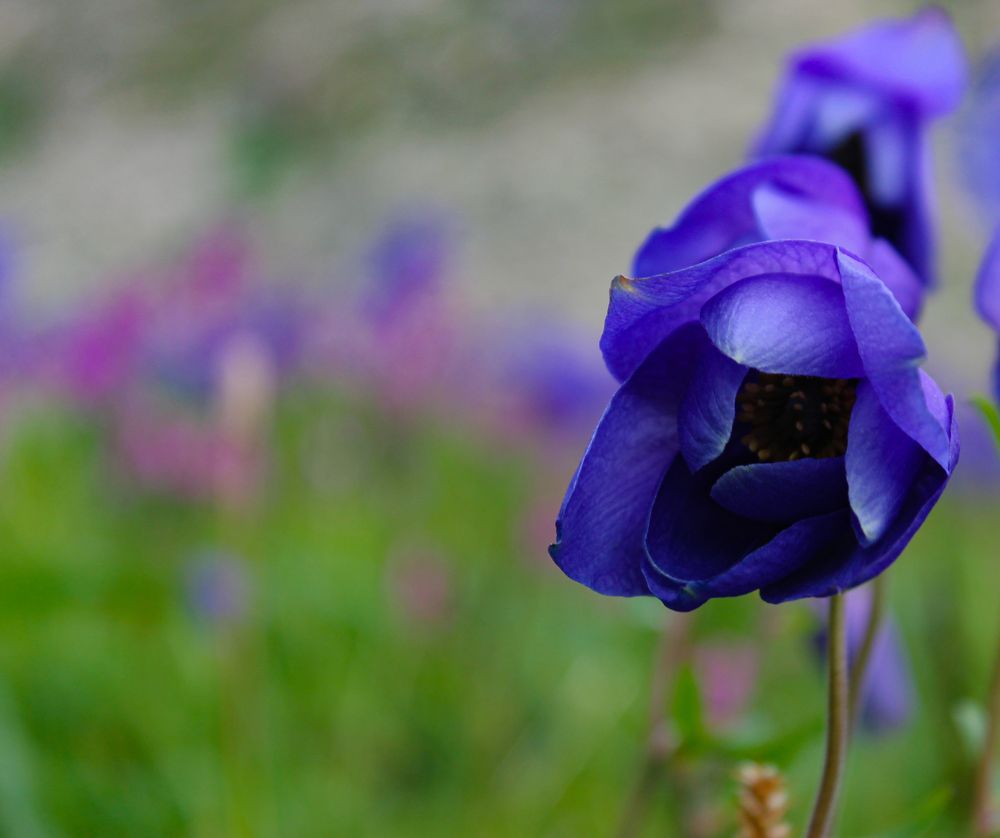 Водосборы Кузнецкого Алатау