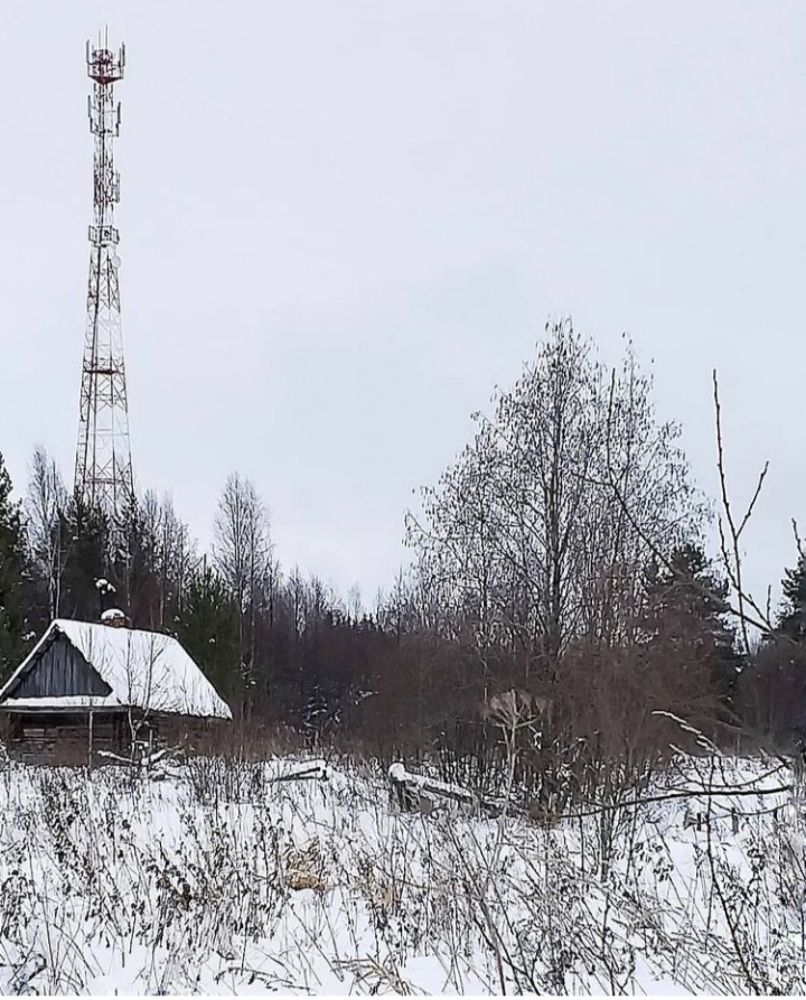 Photograph by Люда Яковлева