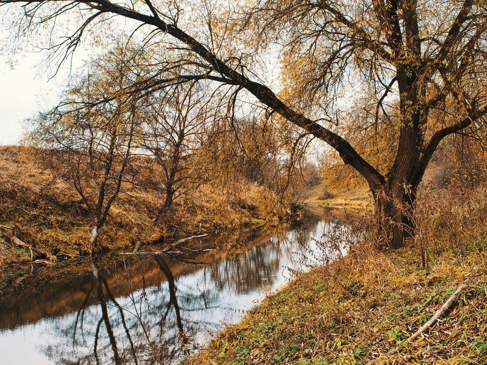 Photograph by Виктор Комиссаров