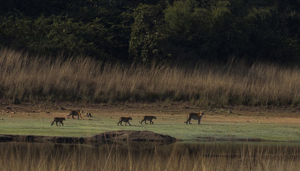 Photograph by Smita Behera