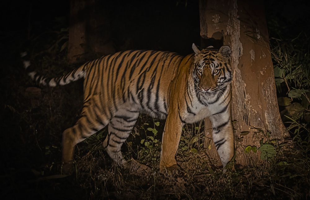 Photograph by Smita Behera