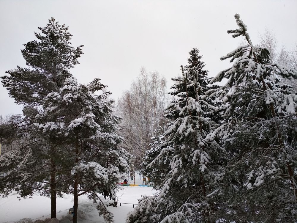 Photograph by ПЕТР ПУСТЫЛЬНИК