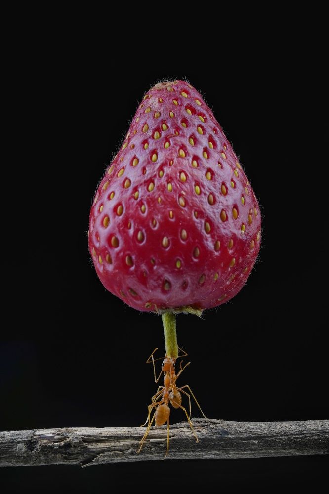 Photograph by Abdul Komeng