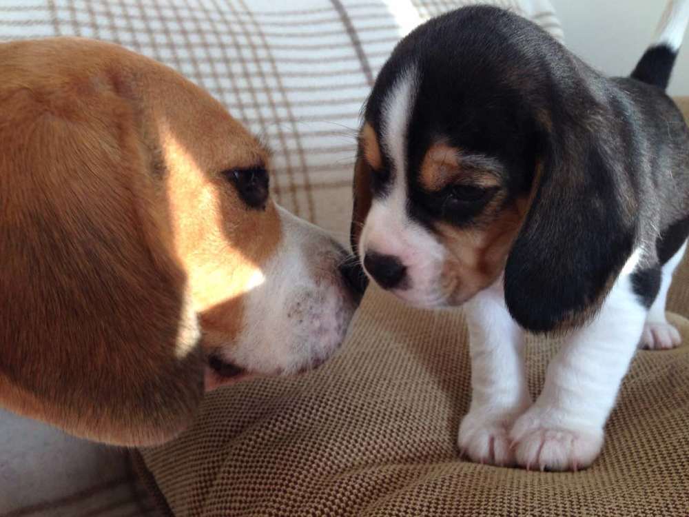 Фотография автора Анна Яковенко