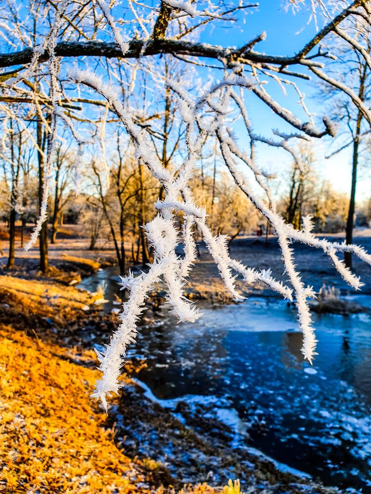 Внезапные заморозки