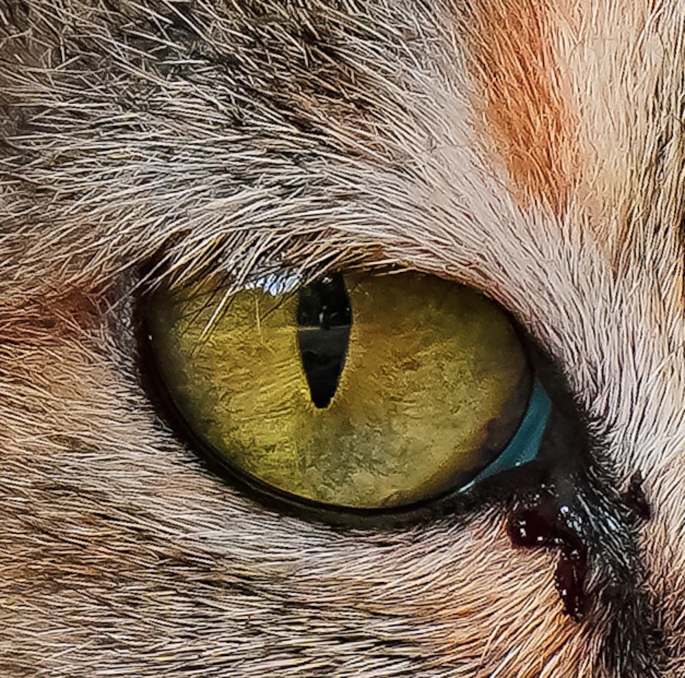 Photograph by Abdul Komeng