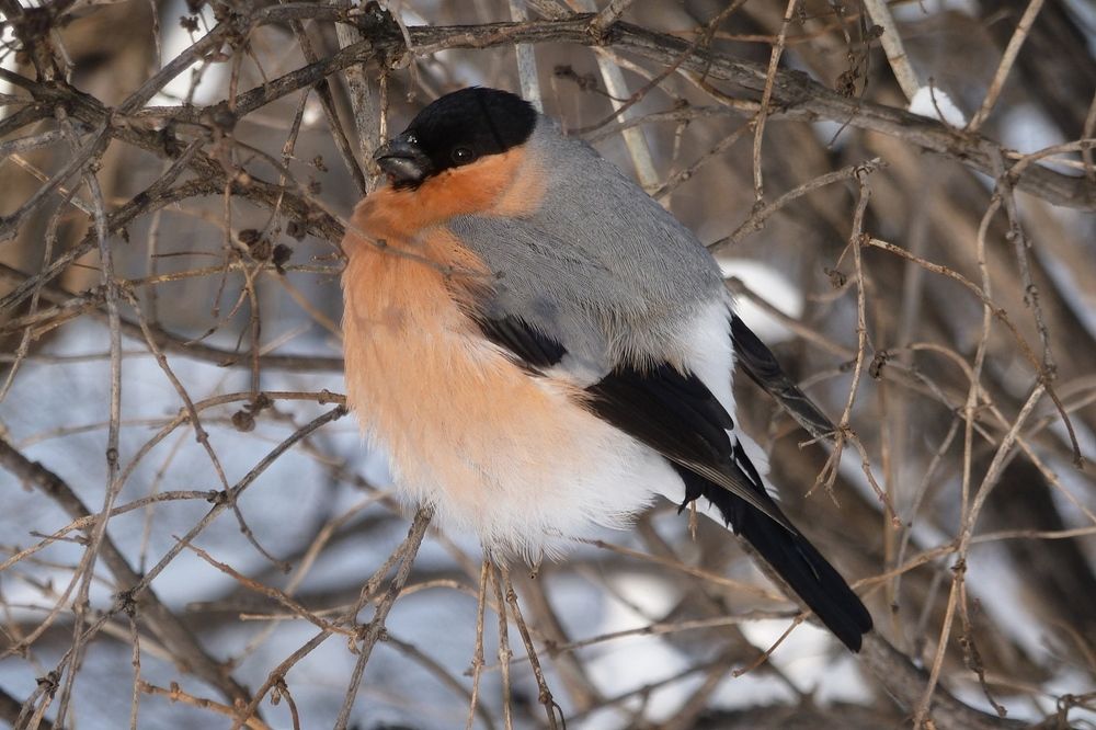 Photograph by Владислав Завальнюк
