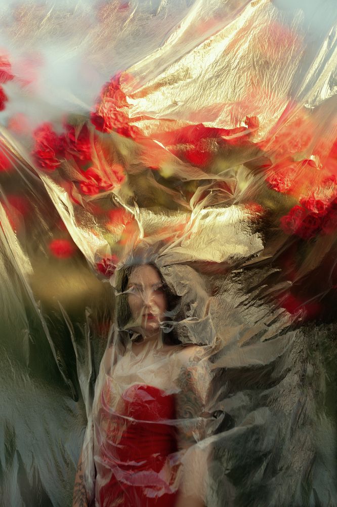 Photograph by Светлана Дроздова