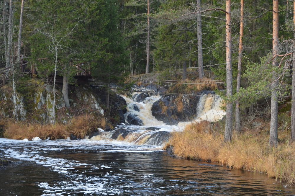Photograph by Николай Курочкин