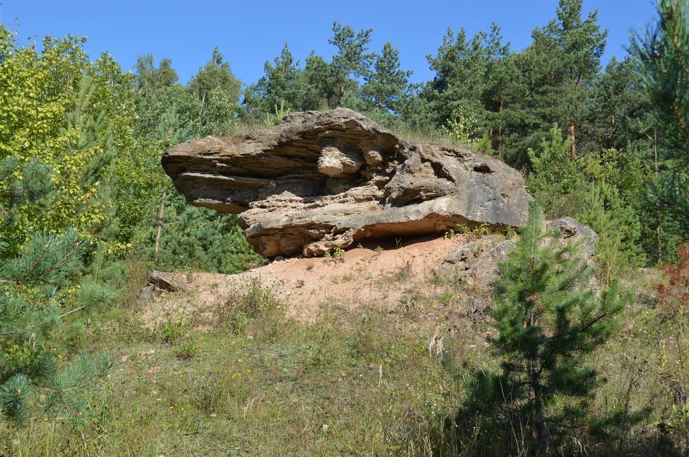 Photograph by Николай Курочкин