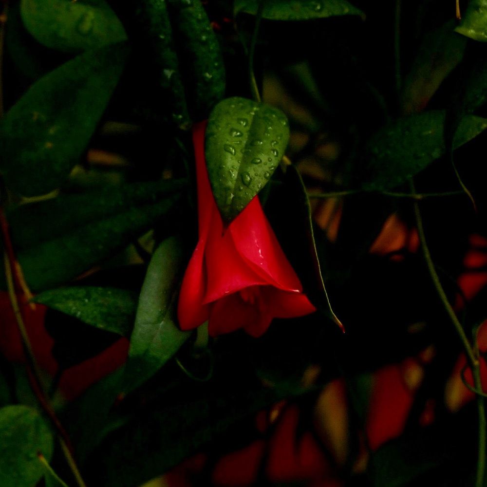 Photograph by Елена Ковалева