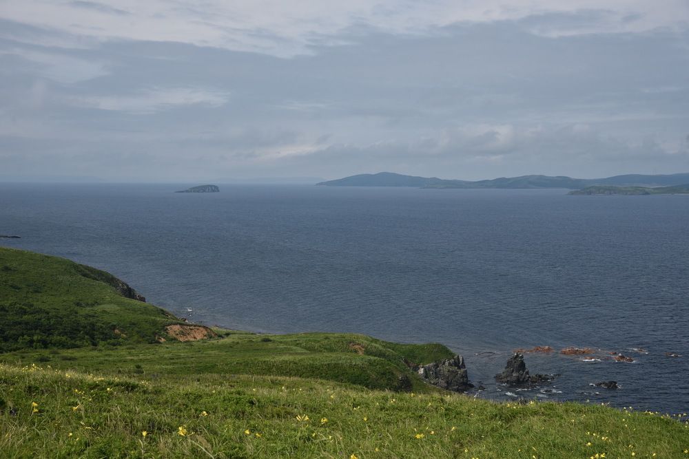 Photograph by Людмила Воропаева