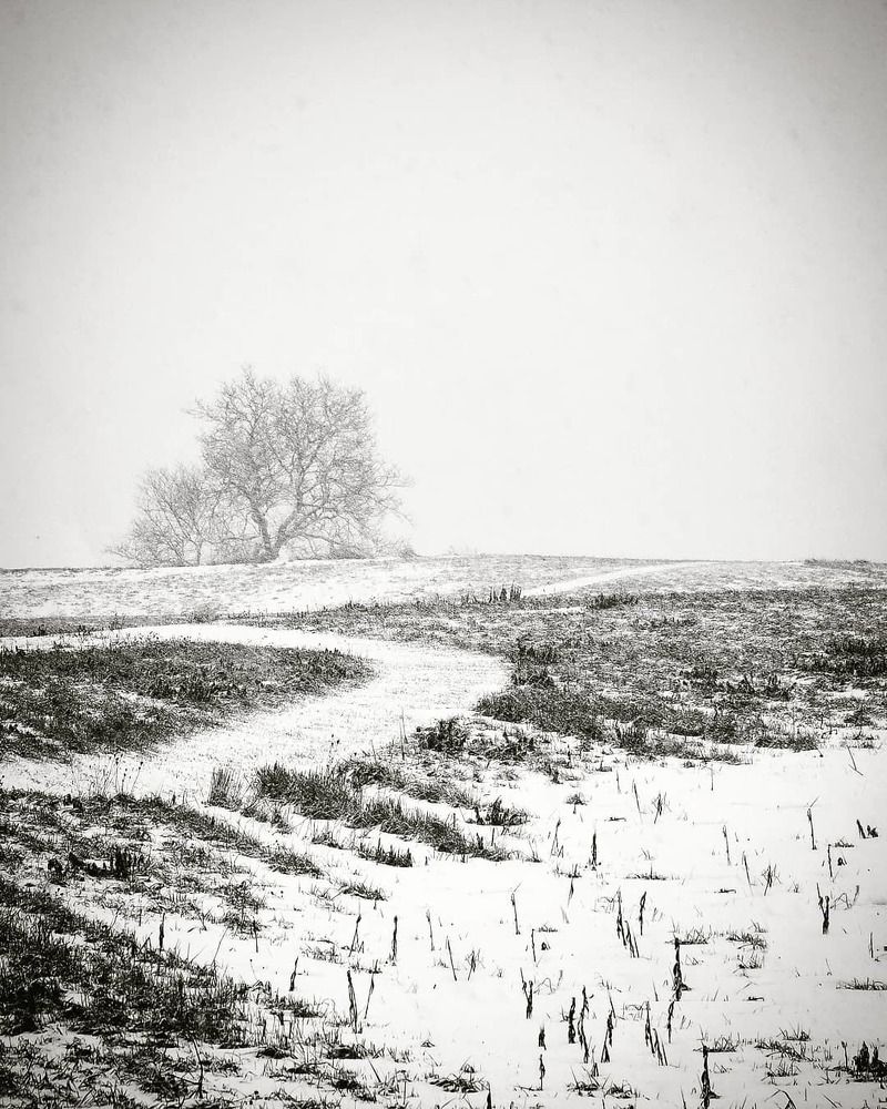 Photograph by Mauro Horta