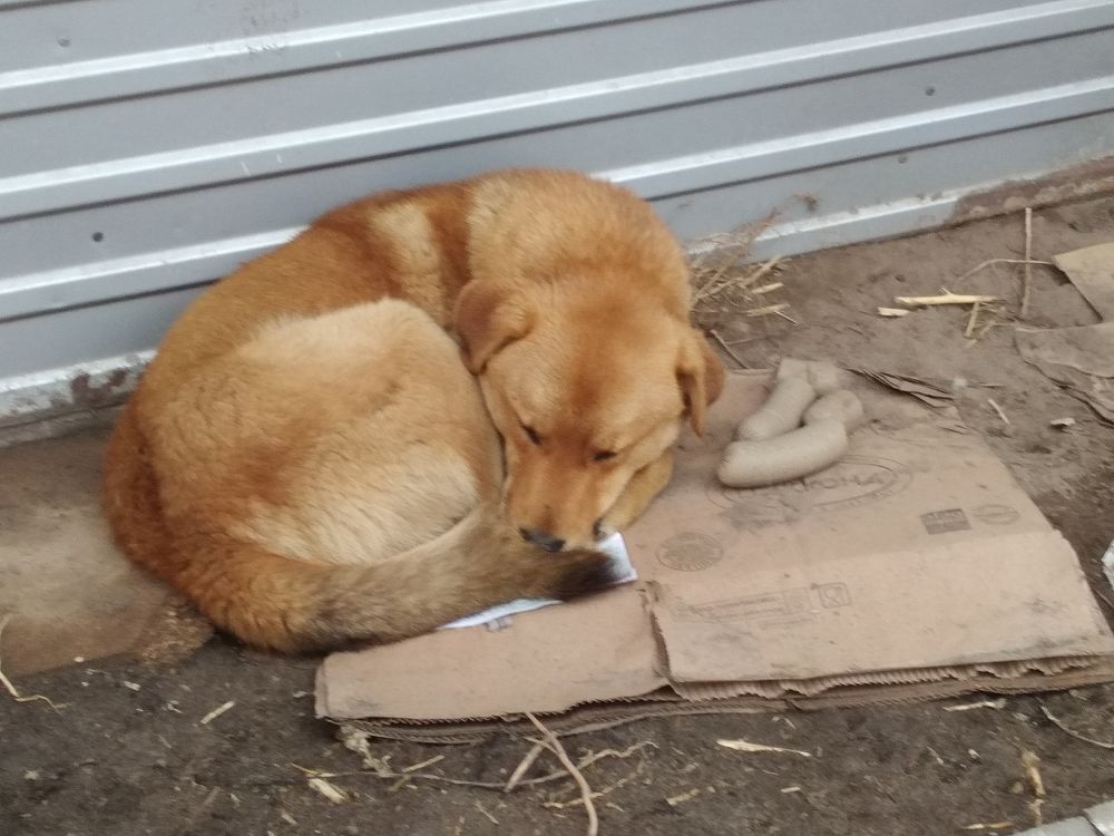 Photo #5684654