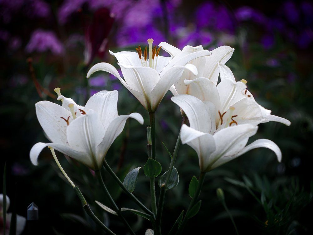 Photograph by Ekaterina Fadeeva