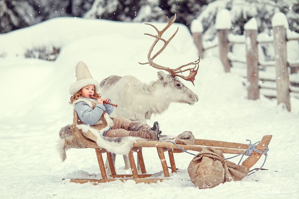 Северный рай