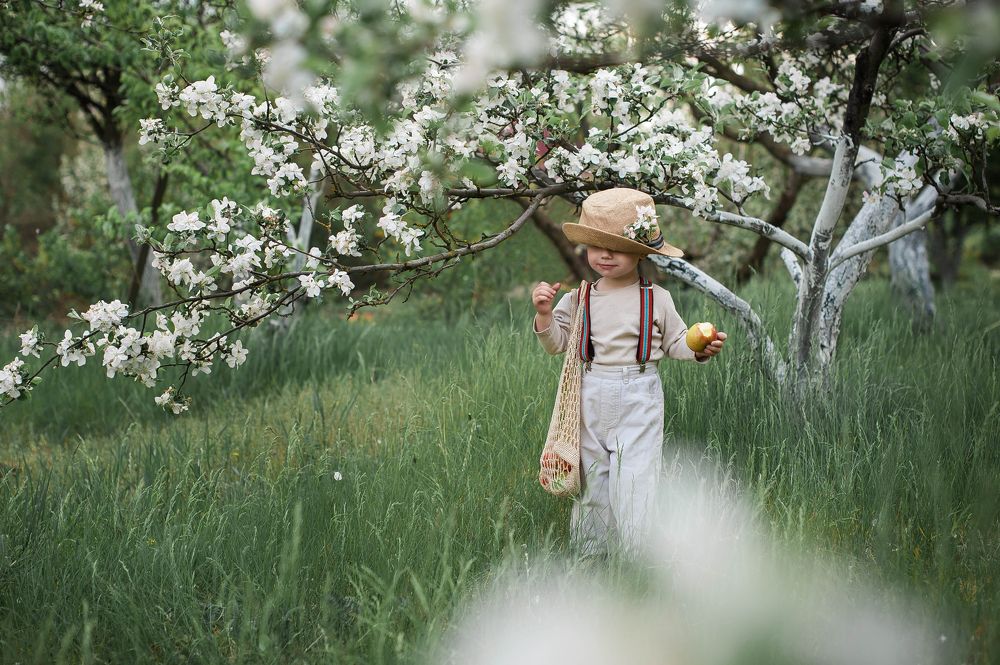 Photograph by Татьяна Гребенюк