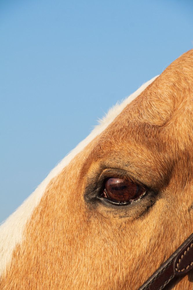 Photograph by Диана Шевчук