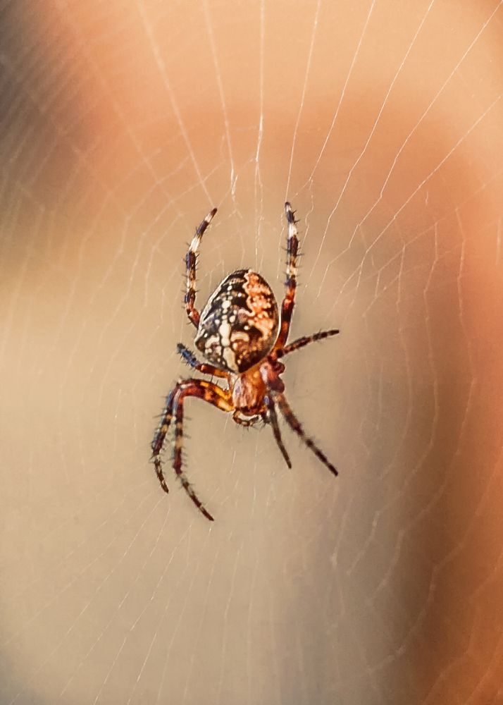 Photograph by Лиана Михайловская