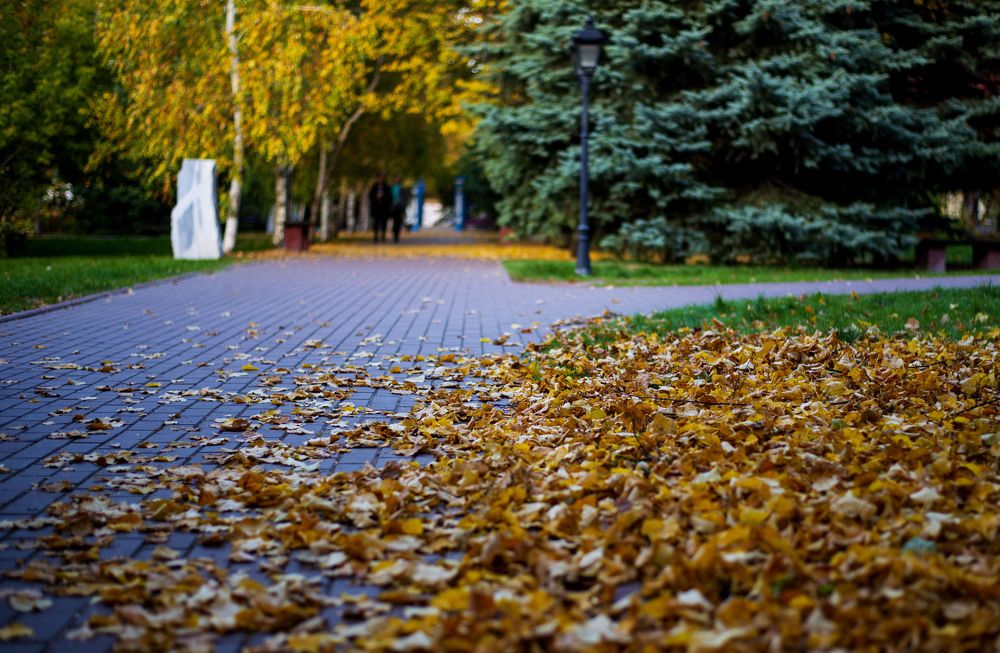 Яркие краски осени