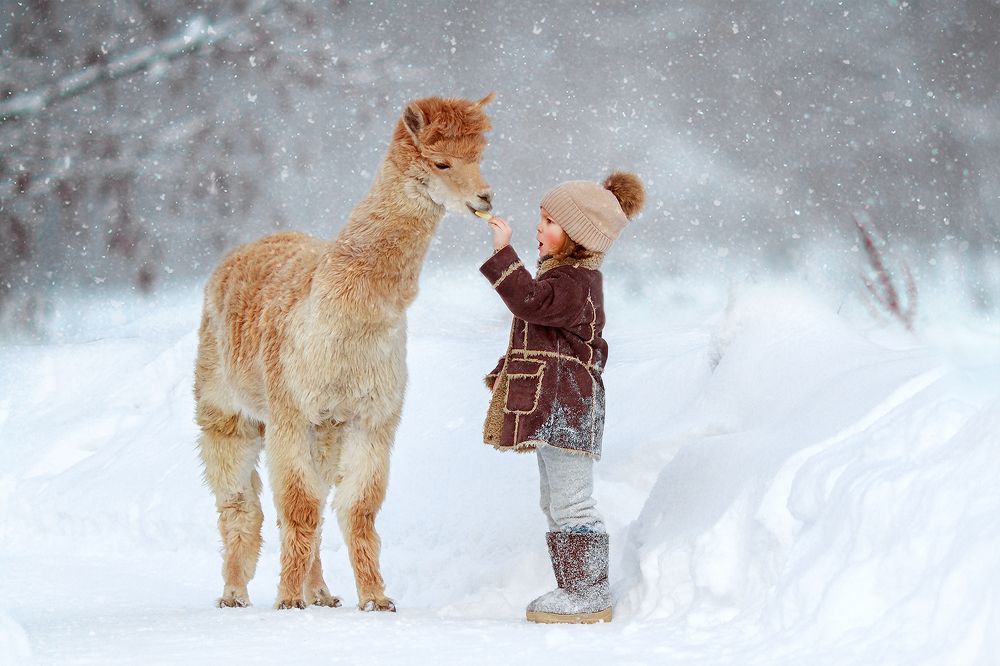 Photograph by Мария Господинова