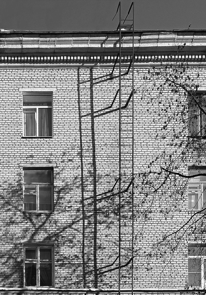 Photograph by Лидия Ушакова