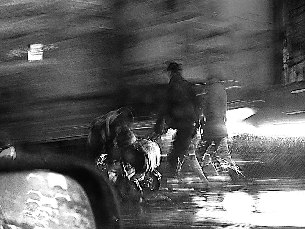 Photograph by Николай Котов