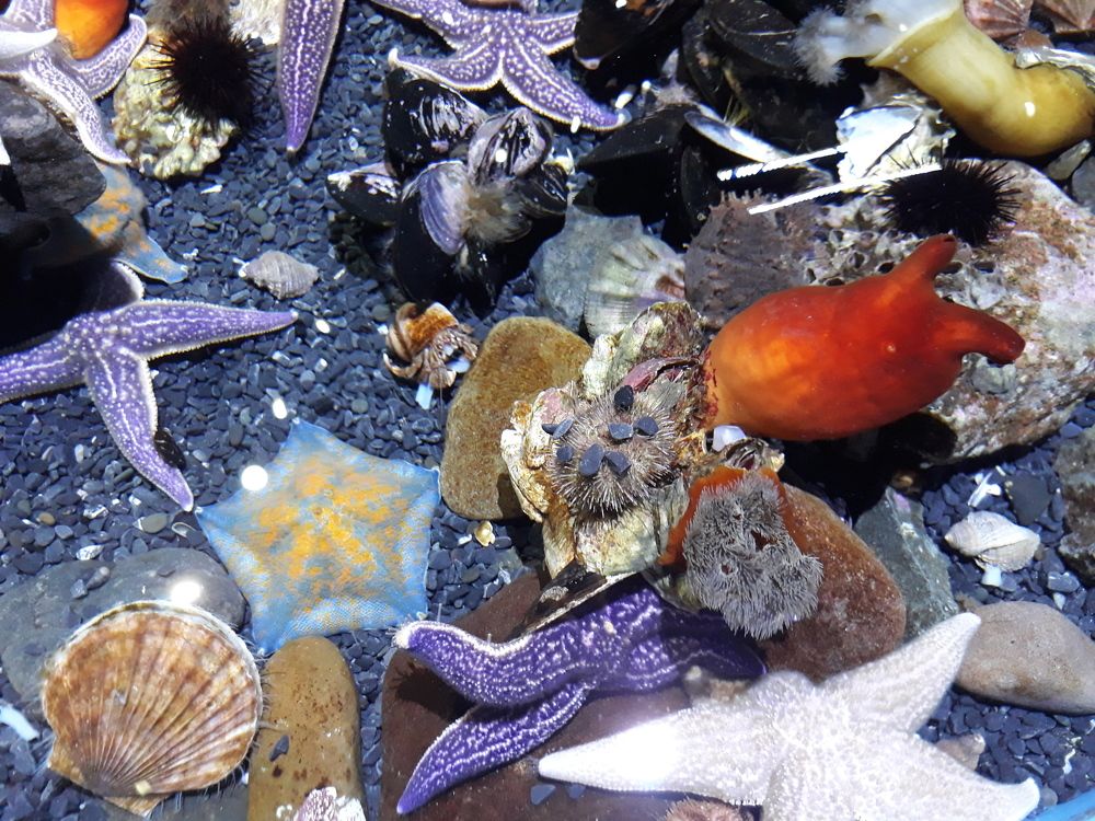 Photograph by Андрей Шахно