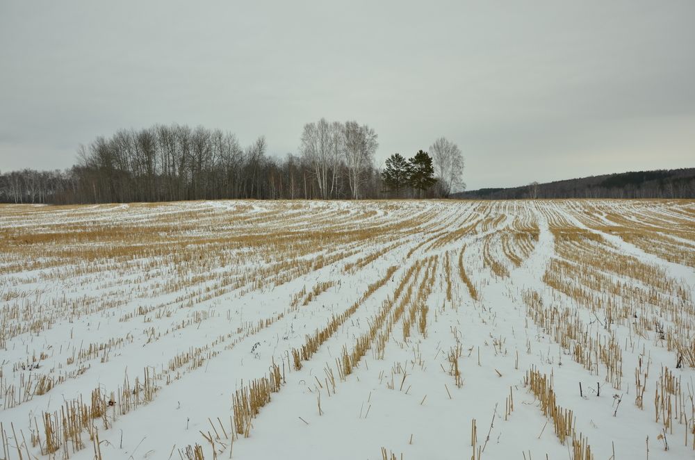 Photograph by Людмила Воропаева