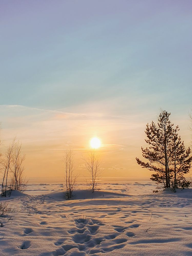 Зимний закат.