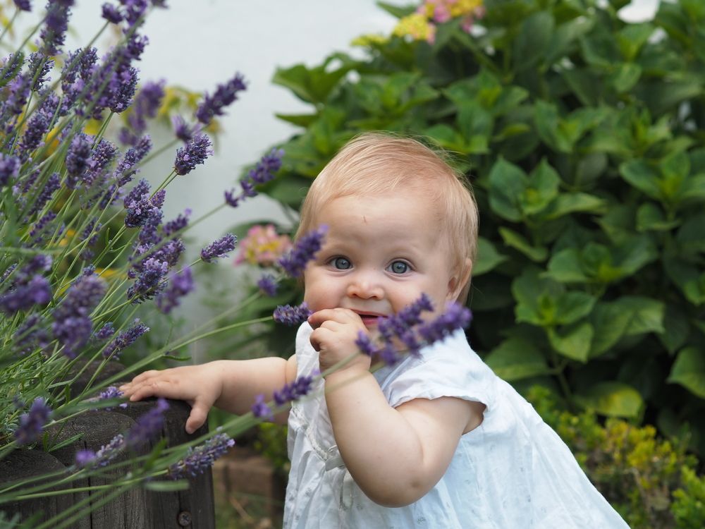 Photograph by Artem Nikiforov