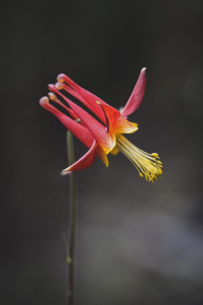 Photograph by Olga von Dahm