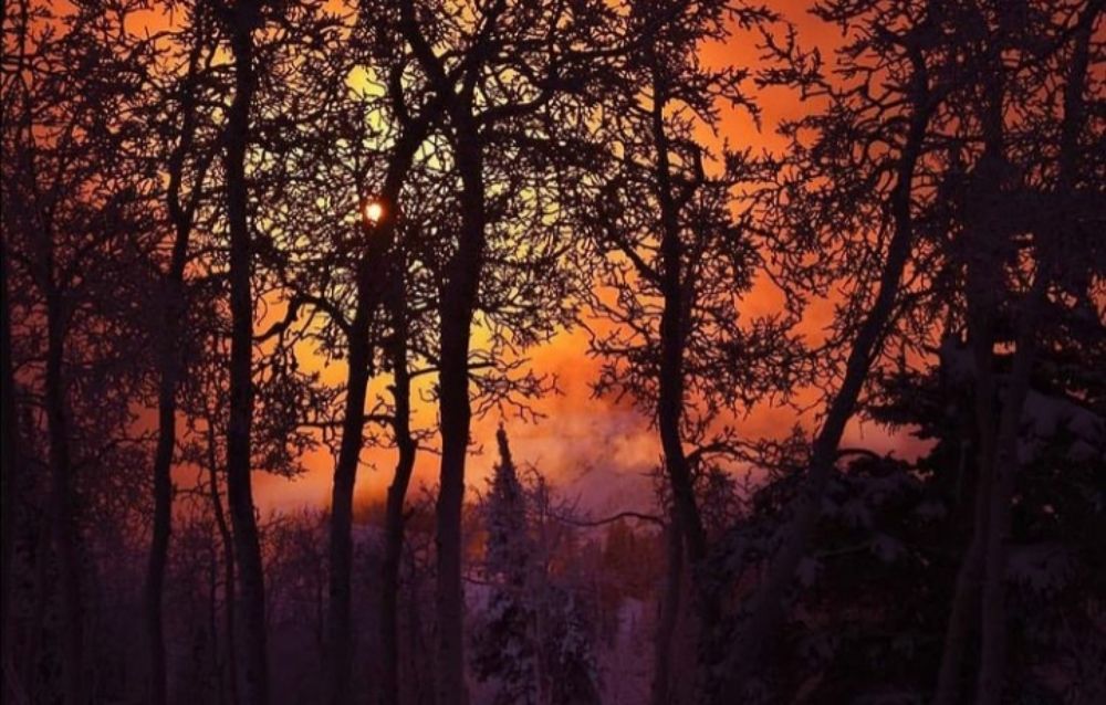 Photograph by mariana munoz