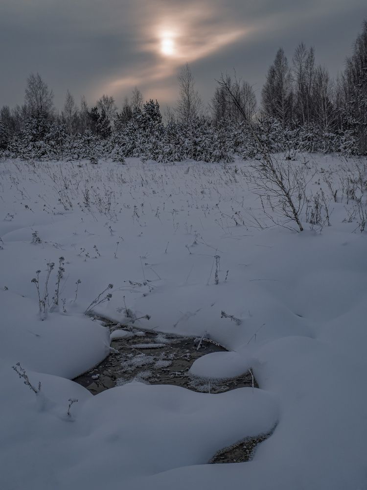 Photograph by Денис Литвиненко