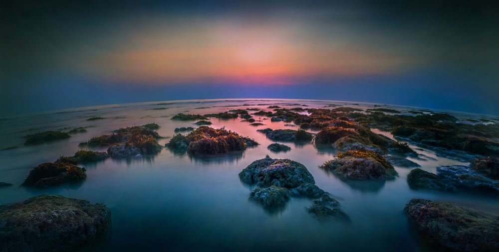 Photograph by Mainak Saha